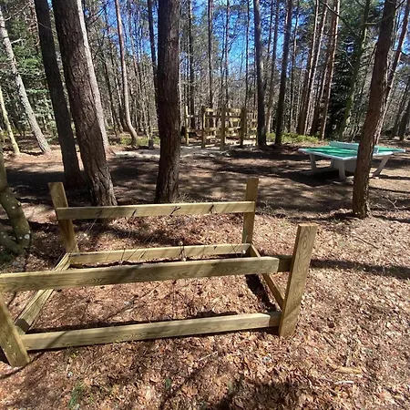 Vakantiehuis Luxe Et Detente : Avec Privatif Et Acces Piscine, Golf, Et Aire De Jeux. - Fr-1-582-39 Le Chambon-sur-Lignon